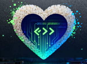 小杰云商城系统源码 完整版 全开源-新觅源码库